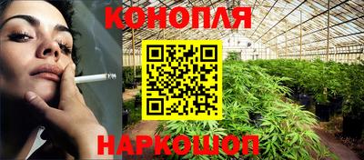 стаф Кунгур