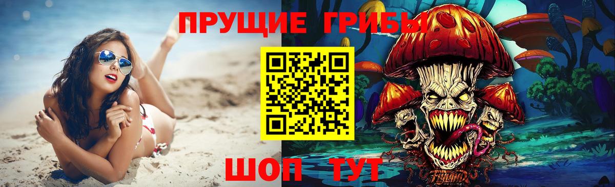Кириши  Галлюциногенные грибы MAGIC MUSHROOMS  хочу   Вход с VPN 
